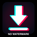 Video Downloader No Watermark