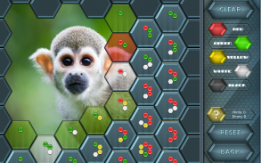HexLogic - Zoo screenshot 8