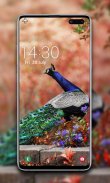 Peacock Wallpapers 🦚 screenshot 3