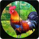 Chicken Shooter in Chicken Farm: Chicken Shooting Icon