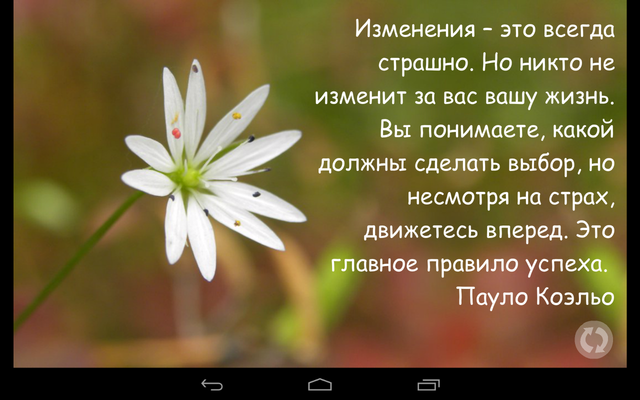 Красивые цитаты и фразы - Загрузить APK для Android | Aptoide