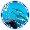 Dolphins Sounds live wallpaper