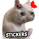 Nuevos stickers de memes de gatos WAStickerApps