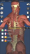 3D Bones and Organs (Anatomy) screenshot 10
