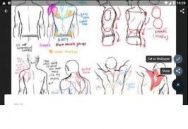 Drawing Tutorial Human Body screenshot 3