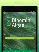 Bloomin' Algae screenshot 5