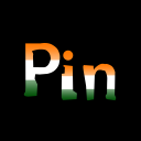 Pin India Icon