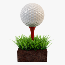 Mini Golf Club 2 Icon