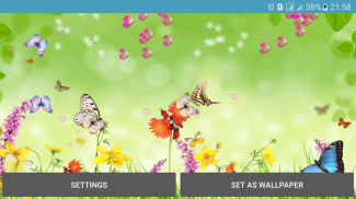 Butterflies Live Wallpaper screenshot 5