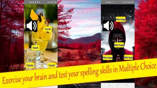 Word Tricks: Spelling Quiz screenshot 1