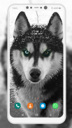 Wolf Wallpaper screenshot 7