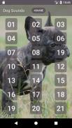 Anjing: Suara screenshot 1