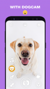 DogCam  - 狗自拍过滤器和相机 screenshot 4