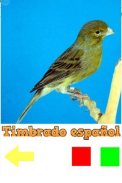 Canarian songs by race screenshot 0