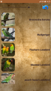 Sounds of parrots screenshot 5