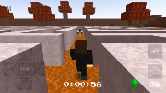 Pixel Labyrinth screenshot 7