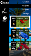 Exotic Birds Weather Clock screenshot 2