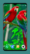 Parrot Wallpapers 4K screenshot 3