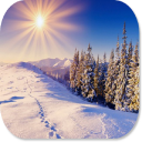 Winter HD Wallpapers Icon