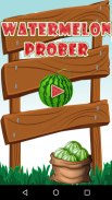 Watermelon Prober screenshot 0