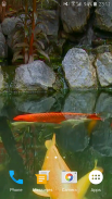 Koi Fish Video Wallpaper 3D screenshot 0