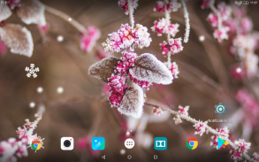 Beautiful Winter Live Wallpape screenshot 6