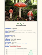 Shroomify - UK Mushroom ID screenshot 7