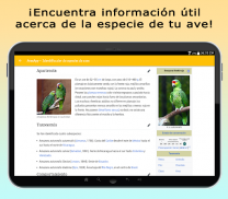 AvesID - Identifica aves screenshot 7