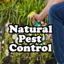 Natural Pest Control Icon