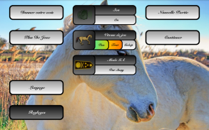 Le Jeu des Petits Chevaux screenshot 6