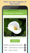 PlantID - Identify Plants screenshot 4