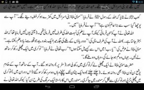 Qasas ul Anbiya Urdu New screenshot 4