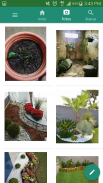 Consejos de cómo Cuidar Plantas y Jardines screenshot 5