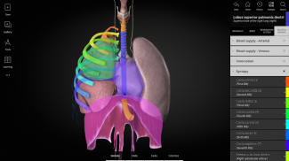 Anatomyka - 3D Anatomy Atlas screenshot 14