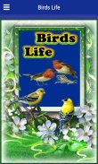 Birds Life screenshot 5