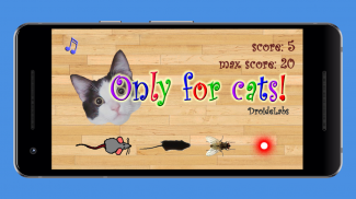 Only For Cats screenshot 8