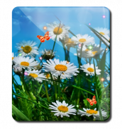 Spring and Summer HD LWP 7 screenshot 3