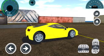 Driver Simulator 3D - Stunt screenshot 2