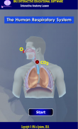 Human Respiratory System screenshot 2