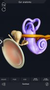 Ear Anatomy Pro. screenshot 6