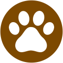 Games For Cats and Kittens Icon