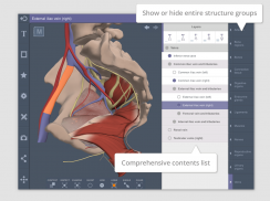 Male Pelvis: 3D RT - Sub screenshot 1