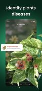 PlantIn: Plant Identification screenshot 13