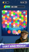 Hexa Master 3D - Color Sort screenshot 17