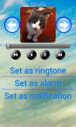 آهنگ های زنگ گربه screenshot 2