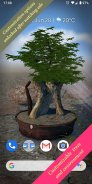 Bonsai 3D Live Wallpaper screenshot 0