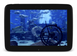 Aquarium Video Live Wallpaper screenshot 8