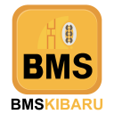 BMSKIBARU Icon