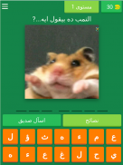 تمبلتس و ميمز - اختبار الميم screenshot 1