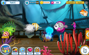 Fish Adventure Seasons screenshot 6